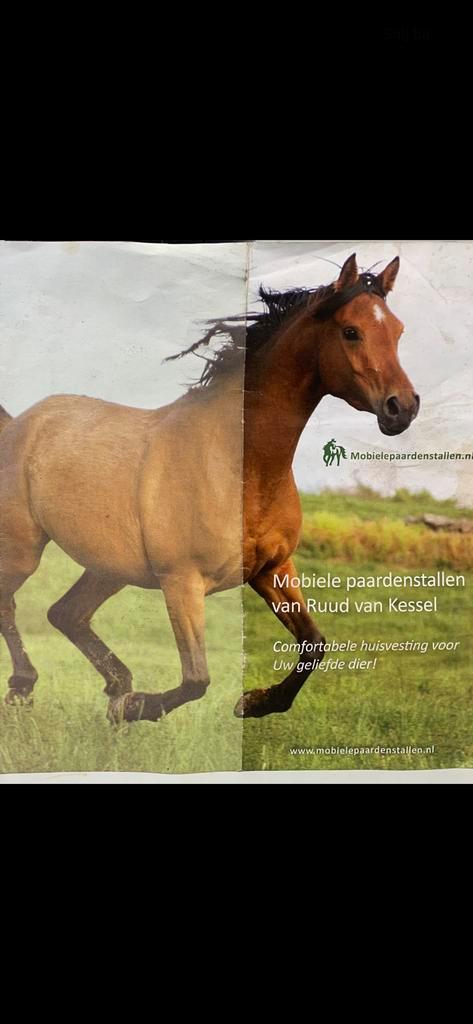 Containerstal stalcontainer mobiele paardenstal, Dieren en Toebehoren, Stalling en Weidegang