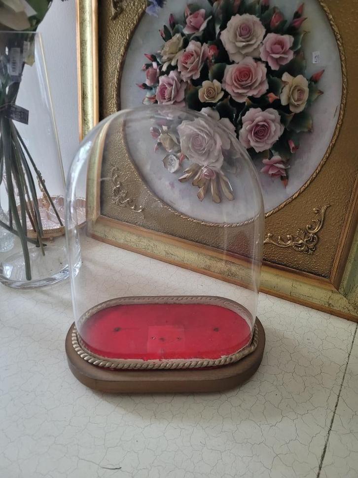 Vintage ovale glazen stolp, Huis en Inrichting, Woonaccessoires | Stolpen, Zo goed als nieuw, Ophalen