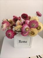 Strobloemen incl potje, Ophalen of Verzenden, Zo goed als nieuw