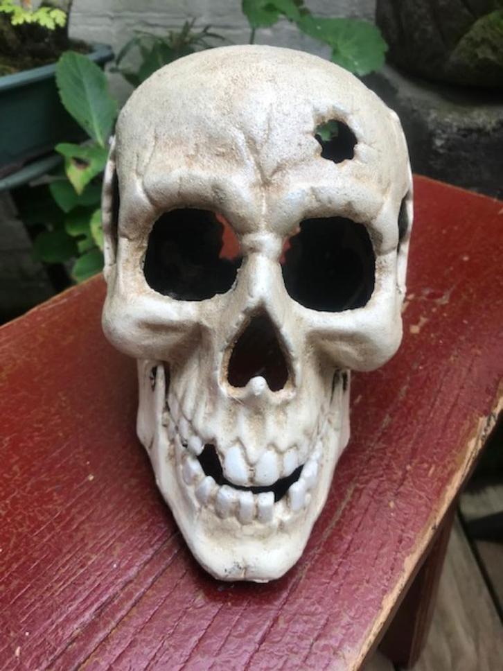 mooie grote gietijzeren SKULL/SCHEDEL, Antiek en Kunst, Curiosa en Brocante, Ophalen of Verzenden
