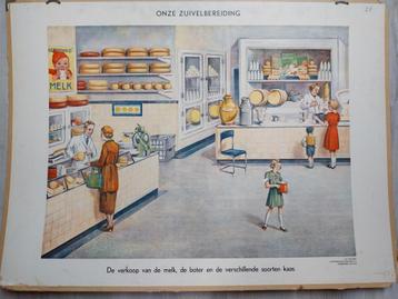 Schoolplaten Zuivelbereiding - Set van 5 beschikbaar voor biedingen