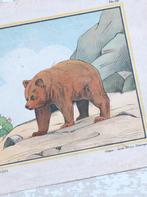 Oude tekenplaat Jacob Dijkstra – Elck wat Wils “Beer”, Ophalen of Verzenden