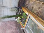 Te koop grote vijver compleet, Tuin en Terras, Vijvers, Ophalen, Gebruikt