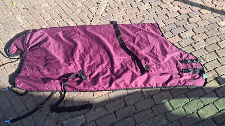 Epplejeck Rindal 200 gr 205 cm, Dieren en Toebehoren, Paarden en Pony's | Dekens en Dekjes, Gebruikt, Deken, Ophalen of Verzenden