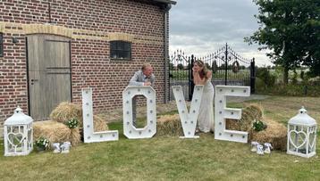 LOVE licht letters  beschikbaar voor biedingen