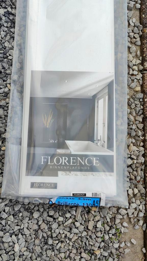 GRATIS Florence plafondpaneel wit NIEUW GRATIS, Doe-het-zelf en Verbouw, Platen en Panelen, Nieuw, Overige materialen, Ophalen