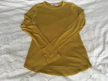 T  Shirt maat S . Mosterd  Kerry  Geel . beschikbaar voor biedingen
