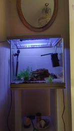 Aquarium + Meubel | Incl. benodigdheden & bodem, Ophalen of Verzenden, Zo goed als nieuw, Leeg aquarium