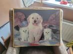 Leuk Schilderij met Hond en Katten, Ophalen
