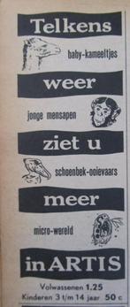 knipsel  ARTIS  dierentuin   AMSTERDAM  1953, Verzamelen, Ophalen of Verzenden, 1940 tot 1960, Nederland, Knipsel(s)