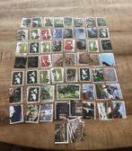 Coop Dinosaurus stickers, Verzamelen, Supermarktacties, Albert Heijn, Ophalen of Verzenden