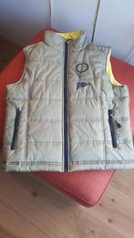 Bodywarmer, Kleding | Heren, Bodywarmers, Ophalen of Verzenden, Zo goed als nieuw, Maat 46 (S) of kleiner, Bruin