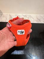 Curli vest harness XXXS, Dieren en Toebehoren, Ophalen of Verzenden, Zo goed als nieuw