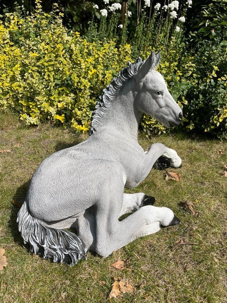 (Tuin)Beeld Paard, veulen liggend, tuin, gazon, manege, 65cm, Tuin en Terras, Tuinbeelden, Nieuw, Dierenbeeld, Kunststof, Ophalen