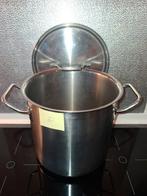 Professionelen  Fissler pan met deksel, Huis en Inrichting, Keuken | Potten en Pannen, Ophalen, Zo goed als nieuw, Rvs, Keramische plaat