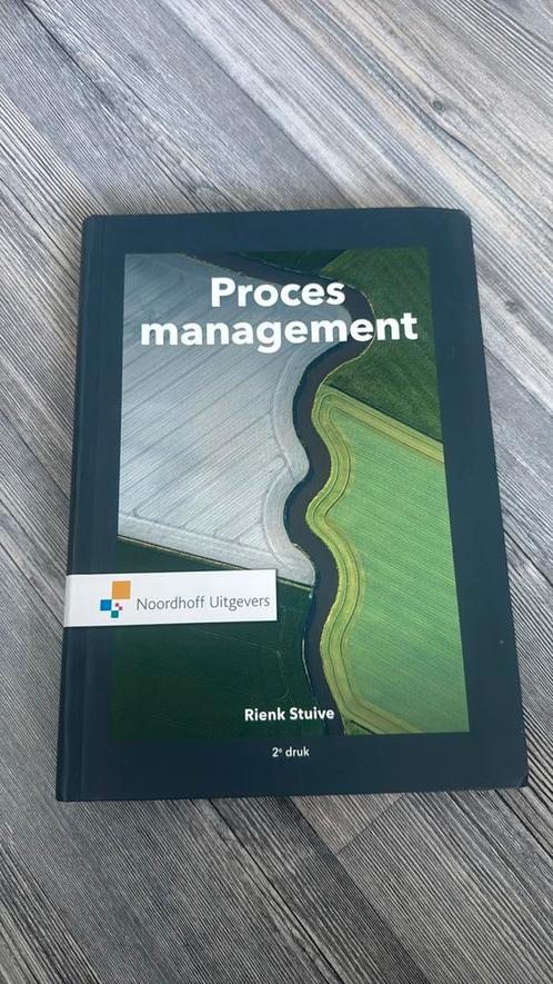 Rienk Stuive - Procesmanagement, Boeken, Wetenschap, Zo goed als nieuw, Ophalen of Verzenden