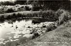 Rockanje aan Zee, Vijver in het Ronde Wei Bos - 1967 gelopen, Ophalen of Verzenden, Voor 1920, Gelopen, Zuid-Holland