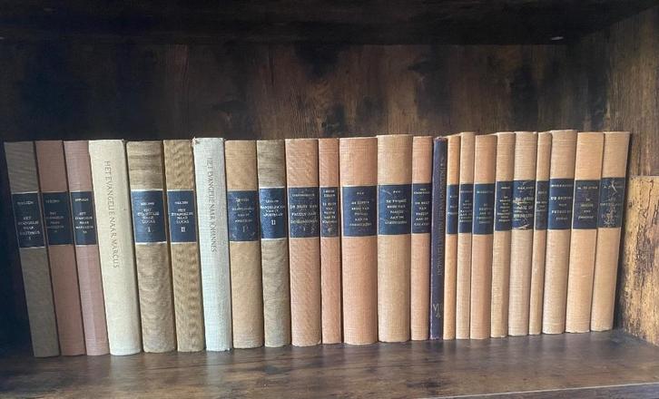 De prediking van het Nieuwe Testament (PNT) compleet, Boeken, Overige Boeken, Gelezen, Ophalen of Verzenden