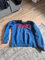 Feyenoord Trui - Maat M, Ophalen of Verzenden, Zo goed als nieuw, Maat 48/50 (M), Blauw