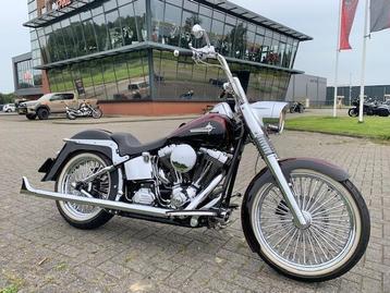 Harley-Davidson FLSTC SOFTAIL MEXICAN SPECIAL (bj 2012) beschikbaar voor biedingen