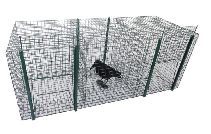Kraaien vangkooi ekstervangkooi ekster kauw vogelvangkooi, Dieren en Toebehoren, Vogels | Hokken en Kooien, Nieuw, Vogelkooi, Metaal