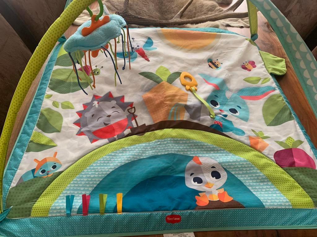 Speelkleed baby - Tiny Love, Kinderen en Baby's, Ophalen, Gebruikt