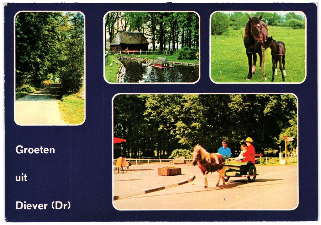 801342 Diever Drenthe 80+ Gelopen met postzegel, Ophalen of Verzenden, 1980 tot heden, Gelopen, Drenthe