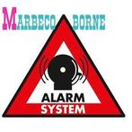 Alarm stickers "Alarm systeem" 5 stuks, Ophalen of Verzenden, Nieuw, Overige typen
