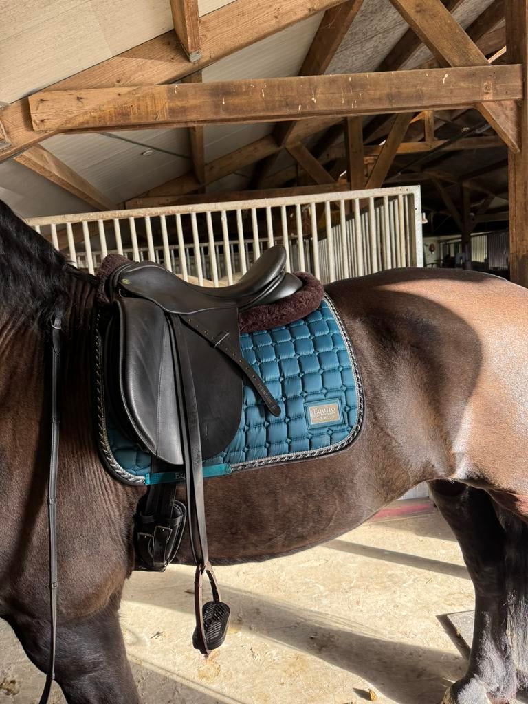 Ideal Grace dressuurzadel 18 inch, Dieren en Toebehoren, Ophalen of Verzenden, Zo goed als nieuw, Dressuur