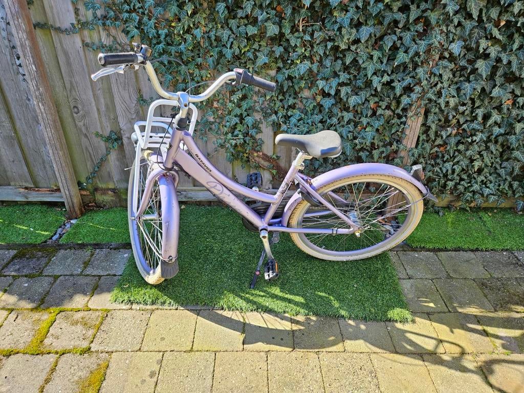 Batavus 24 inch meisjesfiets - Paars, Ophalen, Gebruikt, 20 inch of meer, Batavus