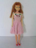 Skipper van Barbie,….. ( Fotonr V62), Ophalen of Verzenden, Gebruikt, Fashion Doll