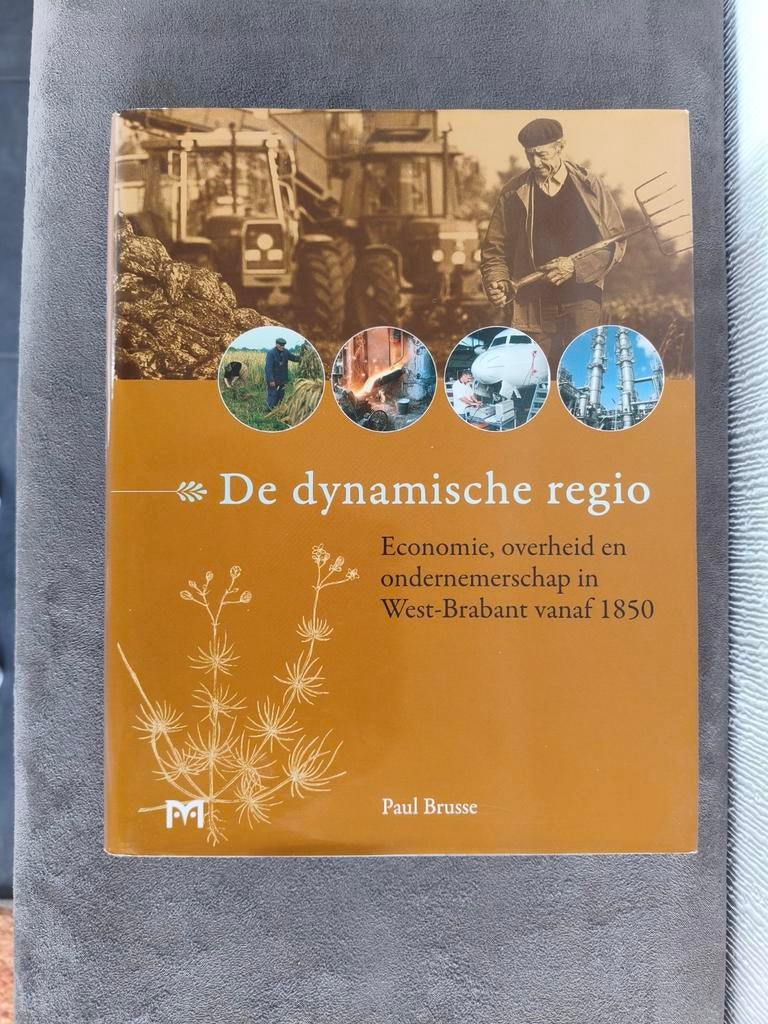 P. Brusse - De dynamische regio, Ophalen of Verzenden, Zo goed als nieuw, P. Brusse