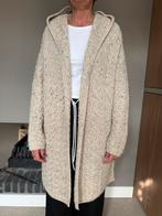 Aran Crafts Iers Vest - 100% Merino Wol - Maat L - Beige/San, Kleding | Dames, Truien en Vesten, Ophalen of Verzenden, Gedragen