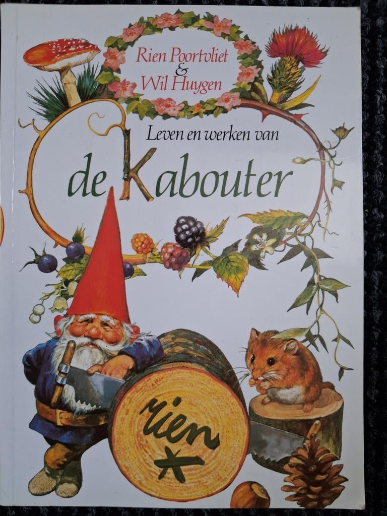 Rien - Leven en werken van de kabouter, Ophalen, Zo goed als nieuw, Rien