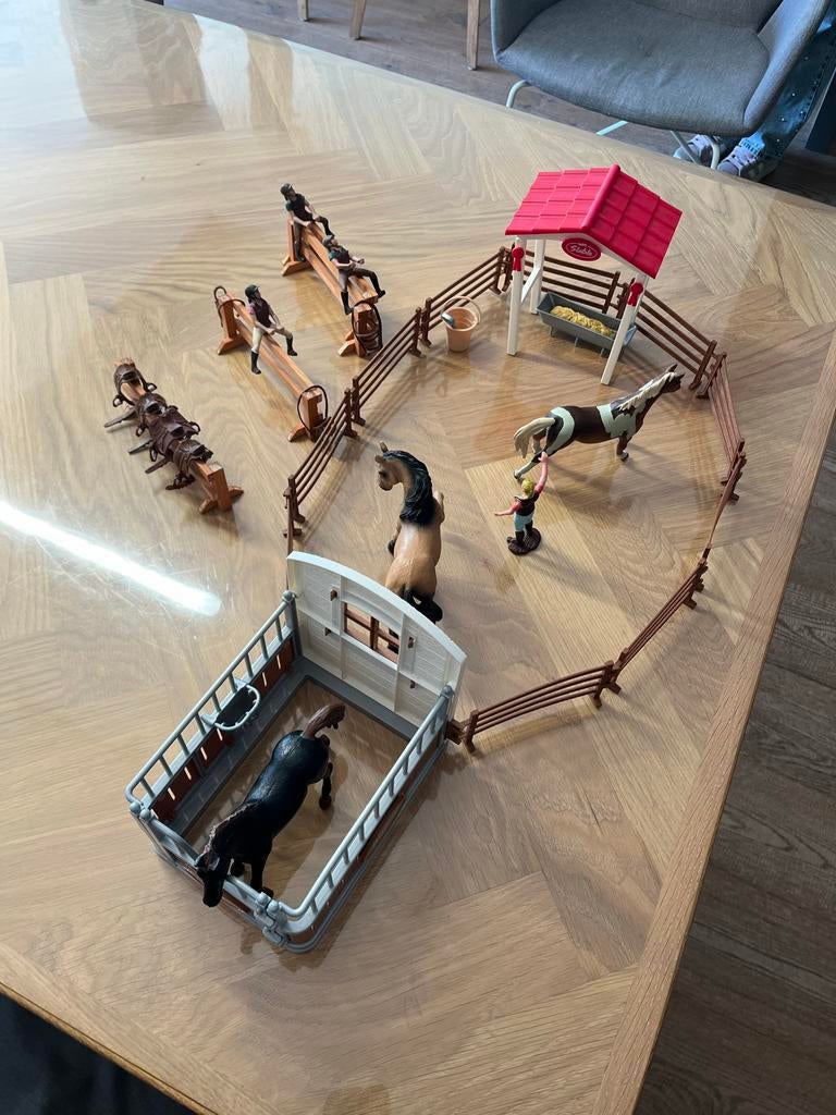 paardenstal, paarden en accessoires, Ophalen of Verzenden, Zo goed als nieuw, Jongen of Meisje