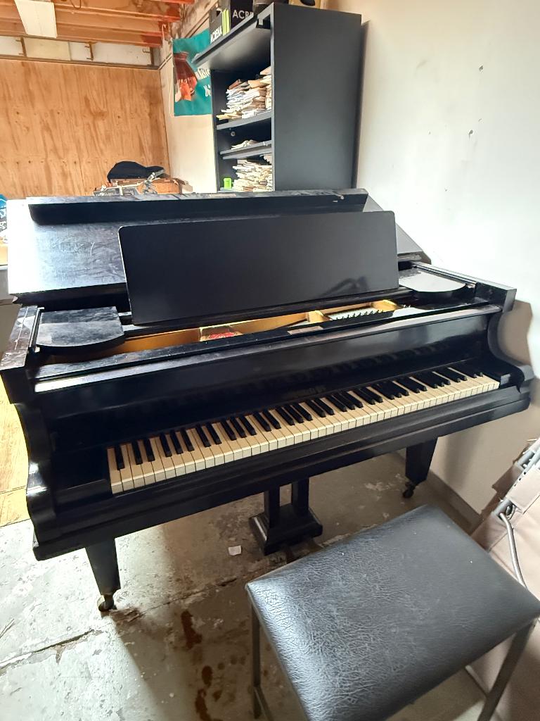 Niendorf vleugel, Muziek en Instrumenten, Piano's, Ophalen, Gebruikt, Zwart, Vleugel