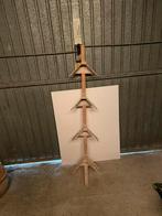 Zitschapjes duiven, Meerdere dieren, Postduif