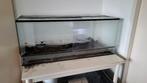 Gratis Terrarium 120cmx50cmx50cm, Ophalen, Gebruikt, Terrarium of Paludarium