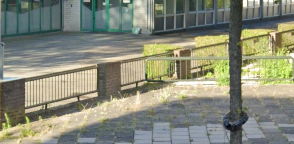 20 stuks ijzeren / metalen hekwerk (ca. 250 B x 50 H cm), Tuin en Terras, Tuinhekken en Hekwerk, Ophalen, Gebruikt, IJzer, Spijlenhekwerk