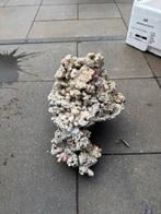 Levend steen 3kg, Dieren en Toebehoren, Vissen | Aquaria en Toebehoren, Ophalen of Verzenden, Gebruikt, Plant(en), Steen of Hout