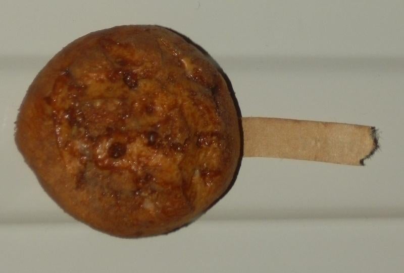 Km110 koelkastmagneetje broodje, Ophalen of Verzenden, Zo goed als nieuw