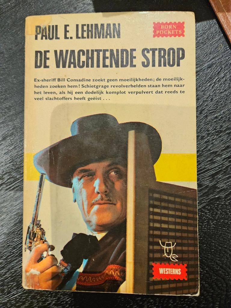 Noel M Loomis - het wilde land, Boeken, Ophalen of Verzenden, Gelezen