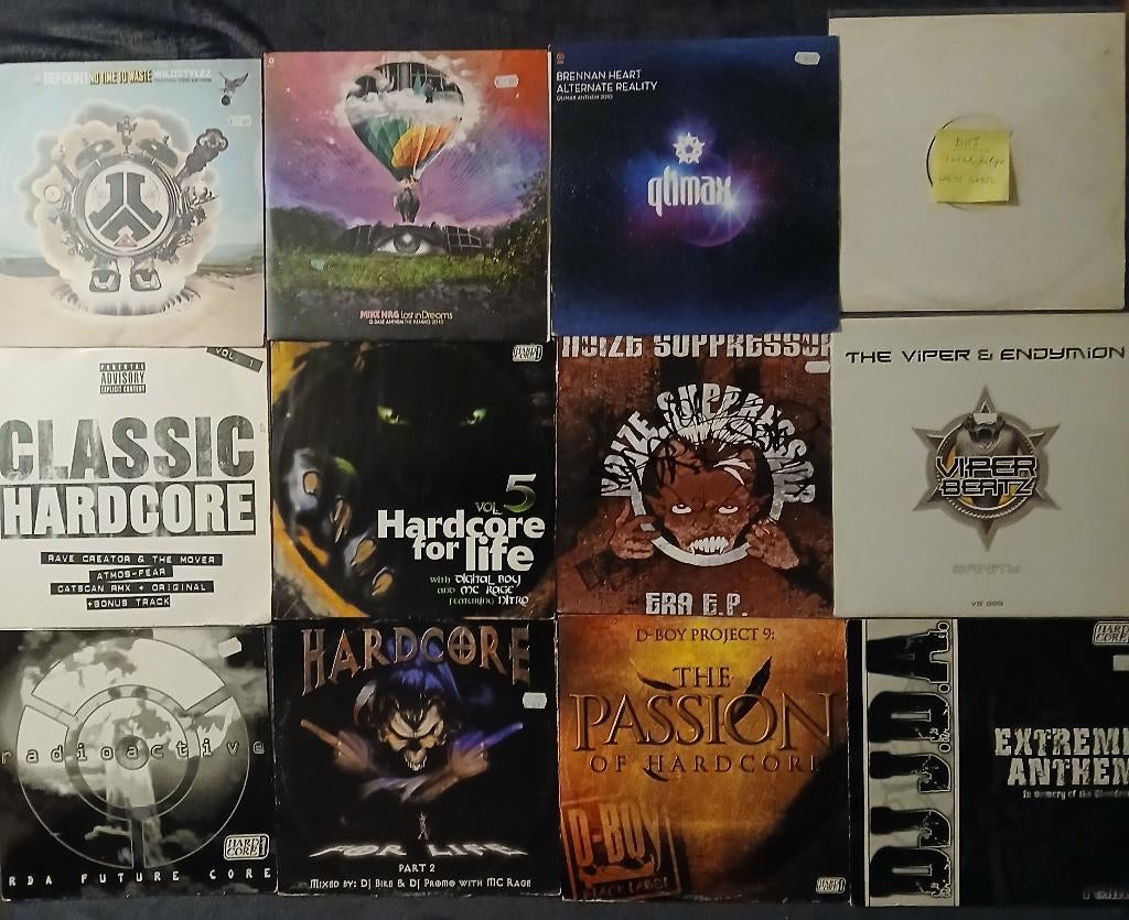 Hardcore Vinyl Collectie 300 stuks - Geen losse verkoop, Cd's en Dvd's, Ophalen, Gebruikt, 12 inch, Overige genres