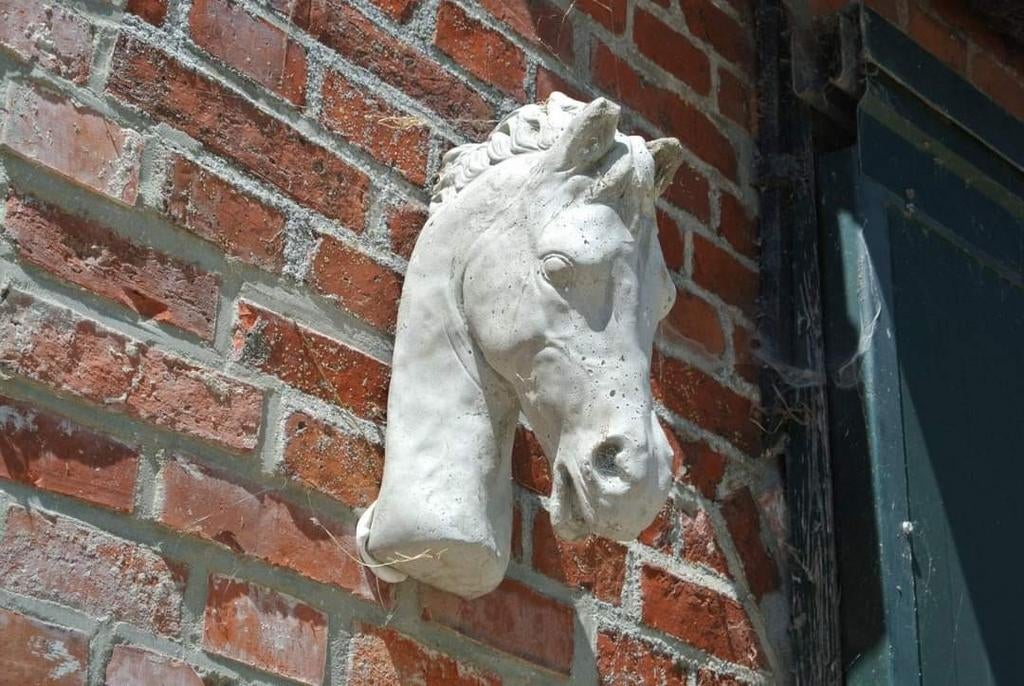 Stalling  aangeboden, Stalling