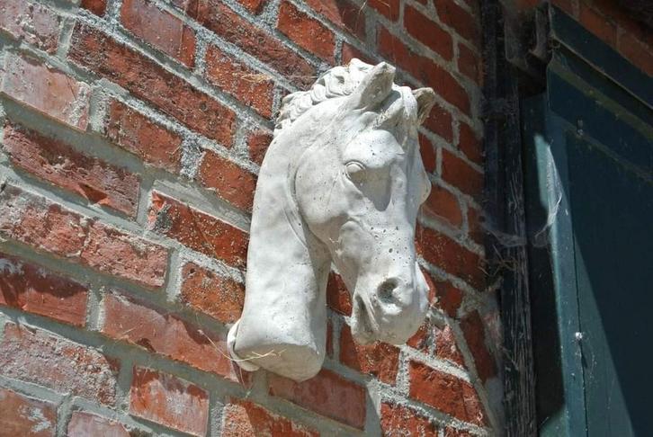 Stalling  aangeboden, Dieren en Toebehoren, Stalling en Weidegang, Stalling