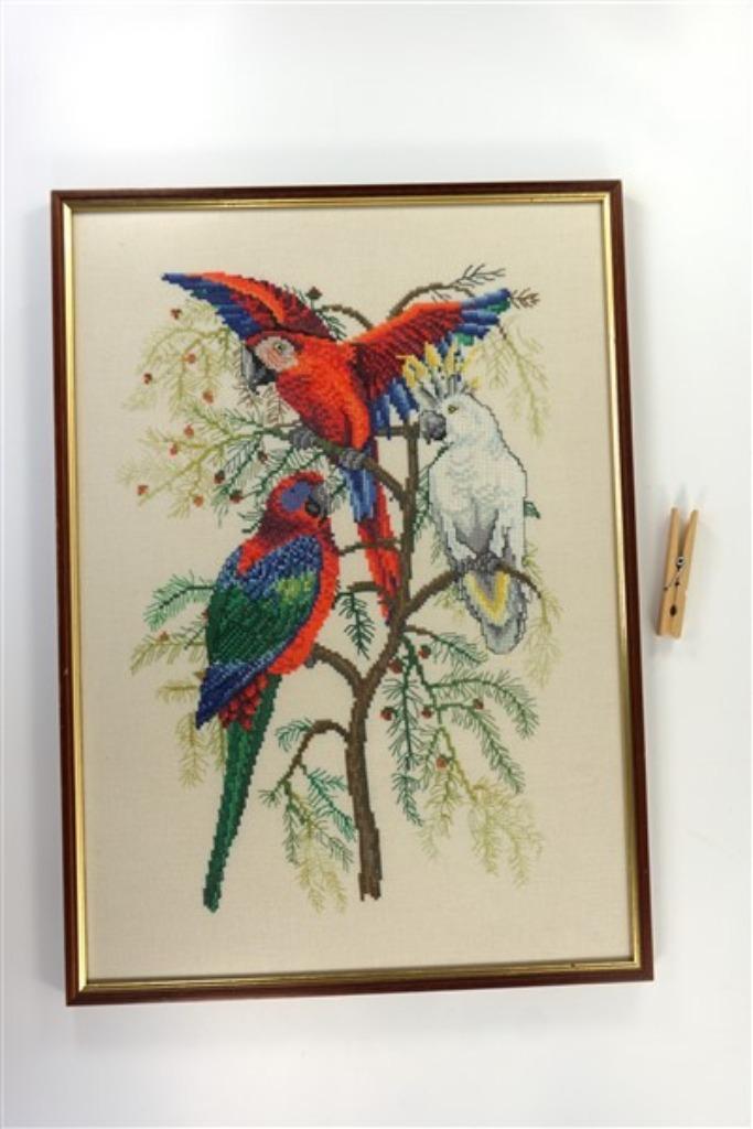 Kruissteek papegaaien, Minder dan 50 cm, Ophalen of Verzenden, Zo goed als nieuw, Minder dan 50 cm