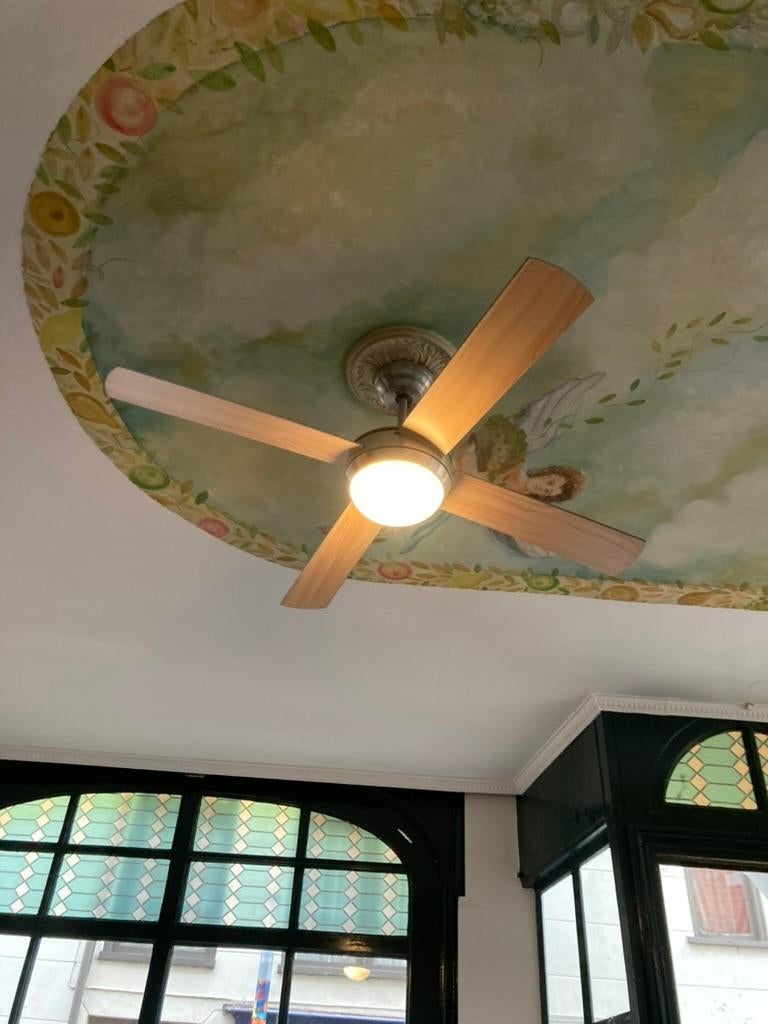 Prachtige Plafond Ventilators, Witgoed en Apparatuur, Ventilatoren, Zo goed als nieuw, Plafondventilator, Ventilator met afstandsbediening