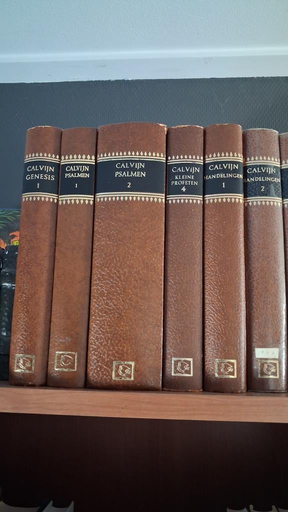 CALVIJN, Boeken, Ophalen of Verzenden, Gelezen, Johannes Calvijn, Christendom | Protestants