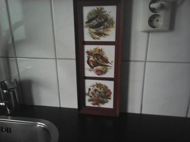 3oude tegels in lijst met vogels, Antiek en Kunst, Ophalen