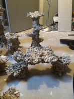 Prachtige aquarium decoratiestukken - echte blikvangers!, Dieren en Toebehoren, Ophalen, Gebruikt, Plant(en), Steen of Hout